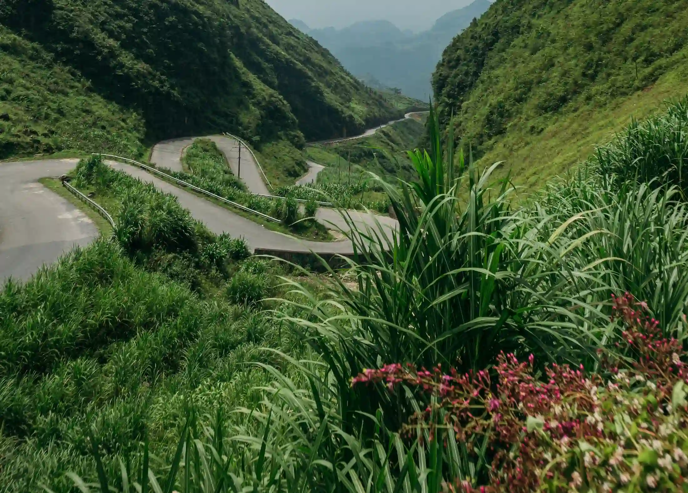vietnam