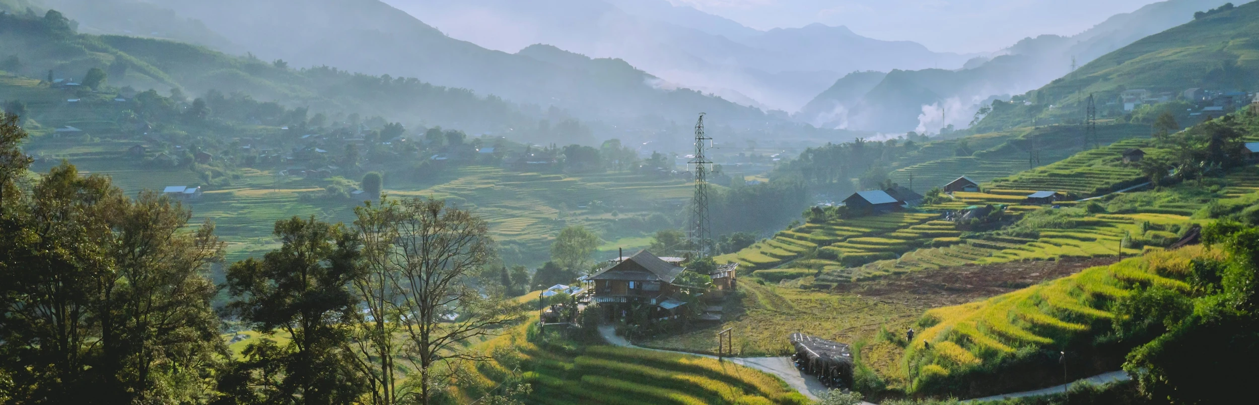 Sapa
